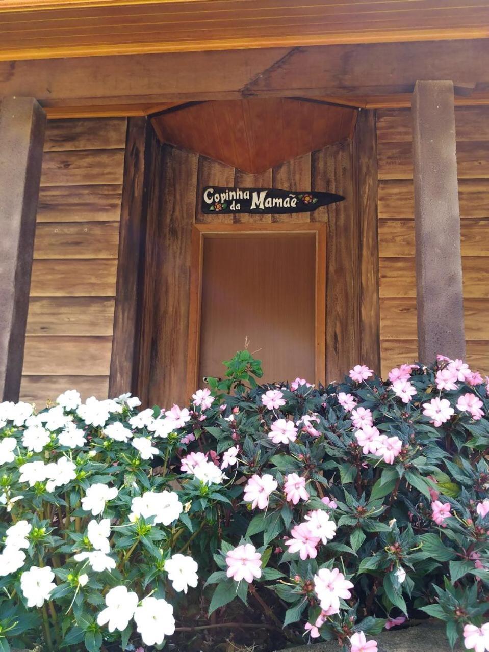 Fazenda Morro Pelado Hotel อากวัสจิลิงดอยา ภายนอก รูปภาพ