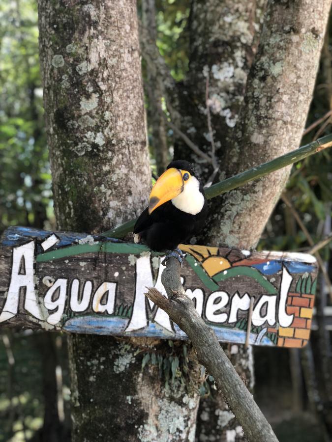 Fazenda Morro Pelado Hotel อากวัสจิลิงดอยา ภายนอก รูปภาพ
